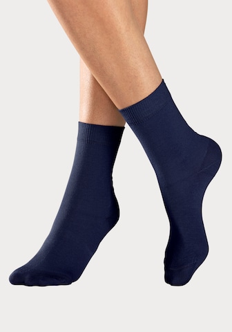 LAVANA Socks in Mixed colors: front