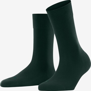 FALKE Socks 'Sensitive London' in Green: front