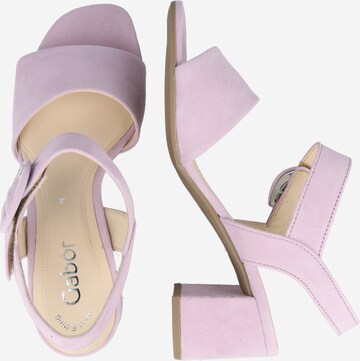 GABOR Sandals in Purple