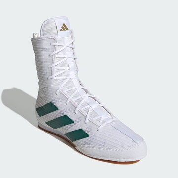 ADIDAS PERFORMANCE Sports shoe 'Box Hog 4' in White