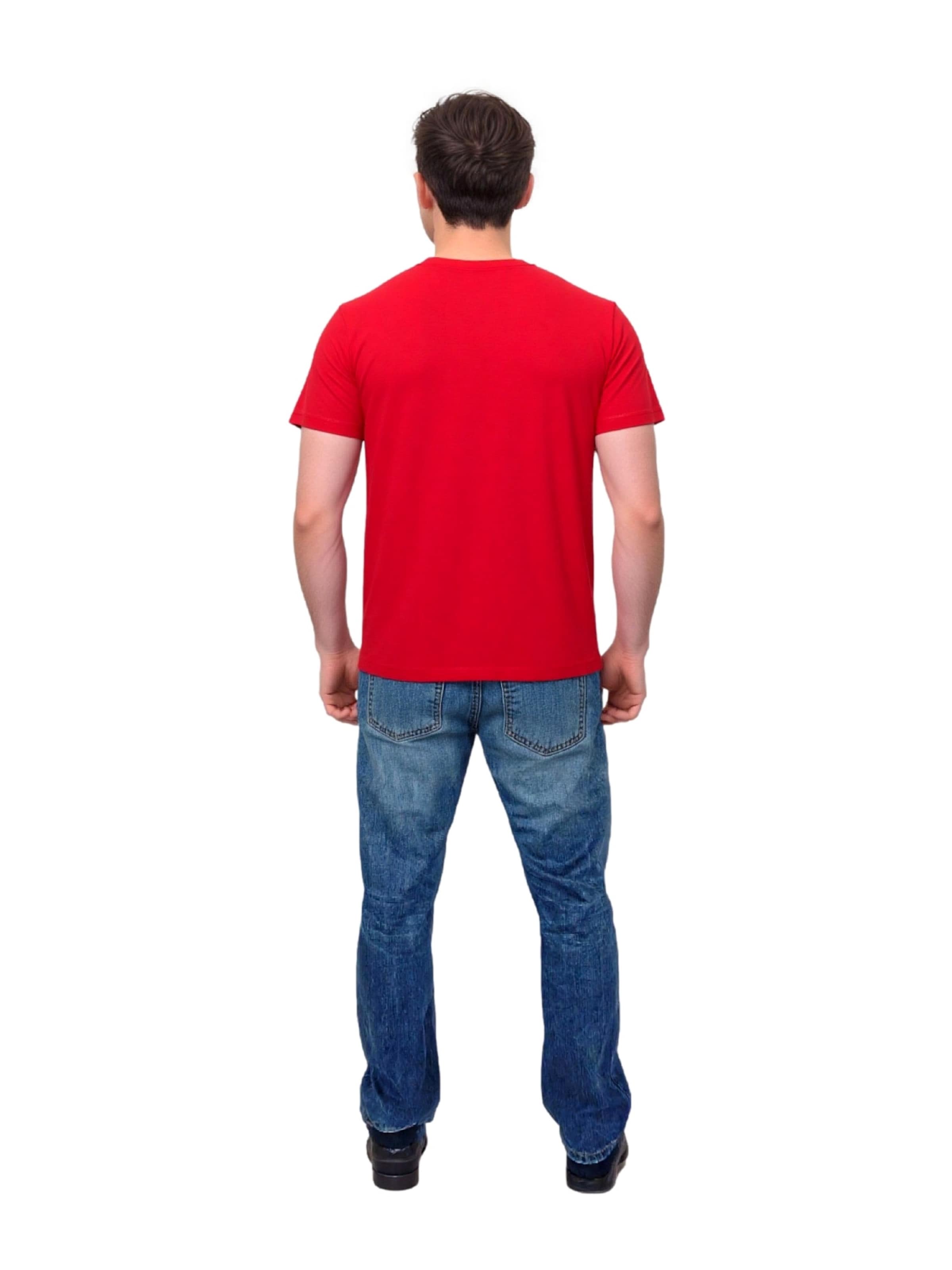 T-Shirt U.S. POLO ASSN. en mélange de couleurs