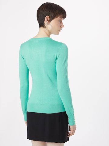 Oasis Sweater in Green