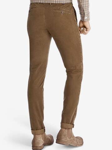 Regular Pantalon chino 'Lupus' MMXGERMANY en marron