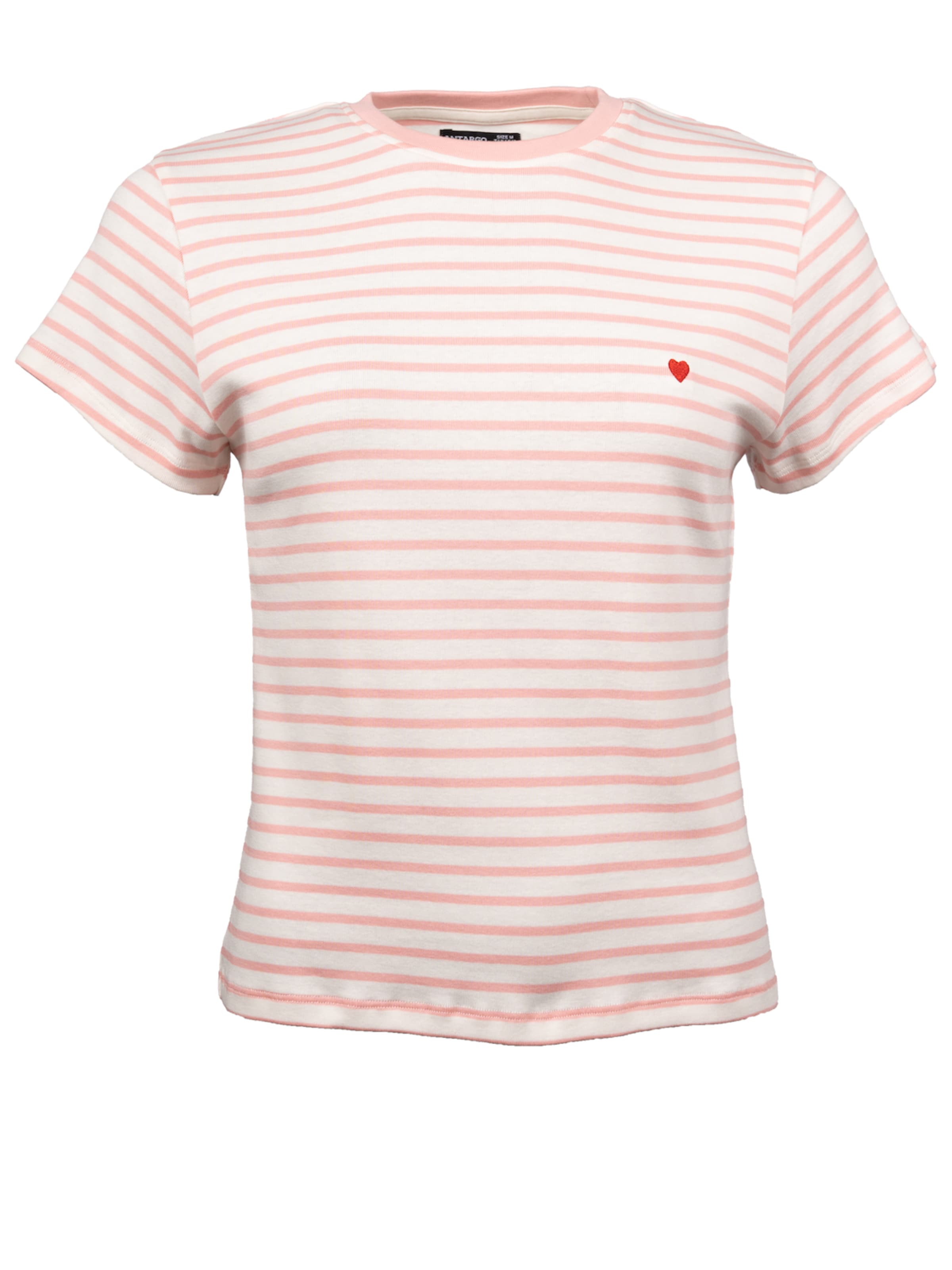 Antargo Shirt in Pink
