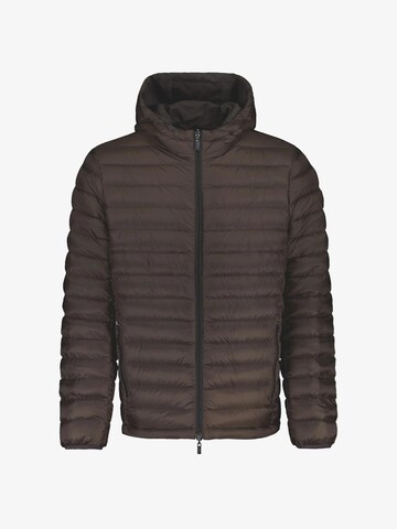Ciesse Piumini Winterjacke 'Henry' in Braun: Vorderseite