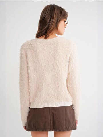 MixRay Pulover 'Pullover' | bež barva