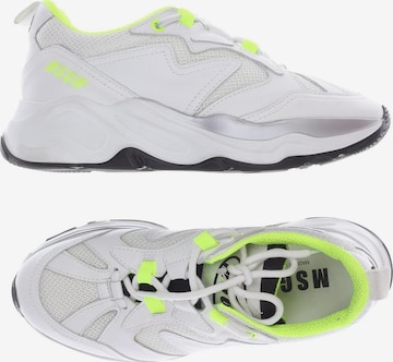 MSGM Sneakers & Trainers in 38 in White: front