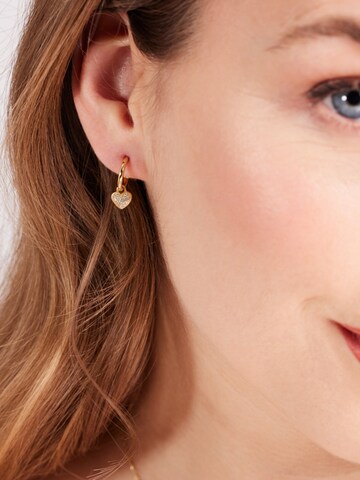 Lucardi Earrings in Gold: front