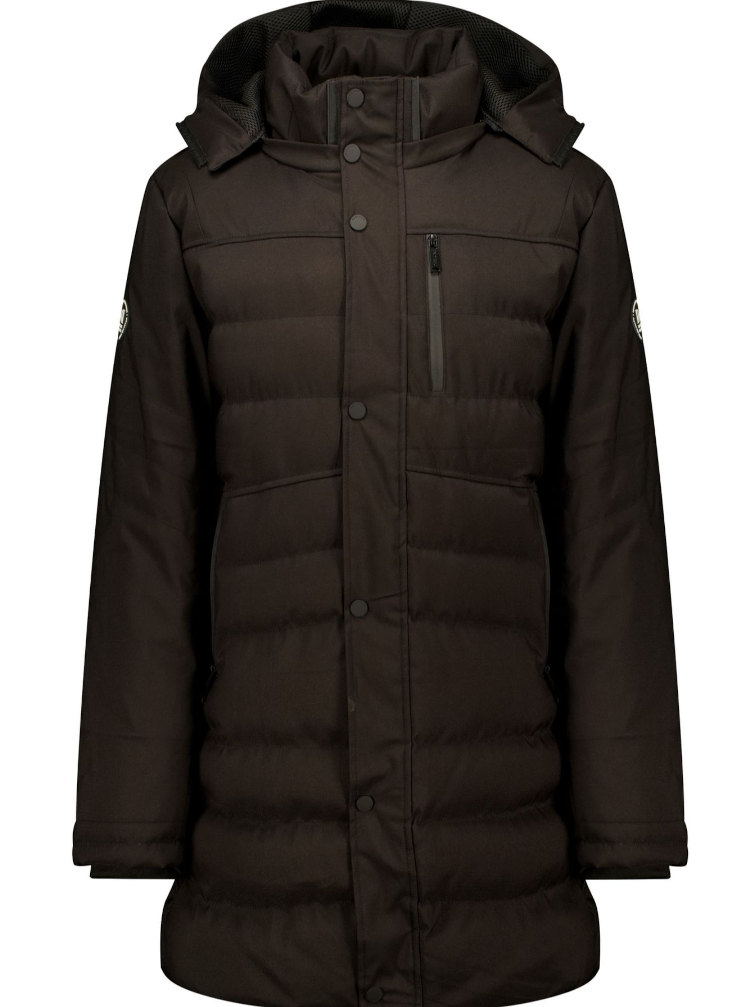 Manteau d’hiver Deeluxe en gris : devant