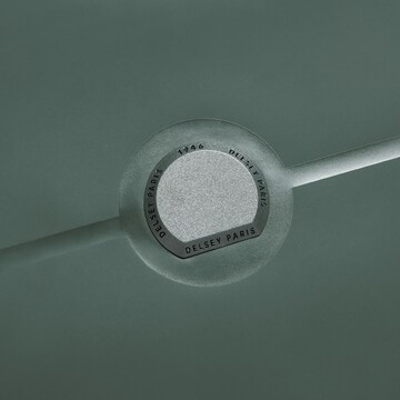 Borsa weekend 'Turenne ' di Delsey Paris in verde