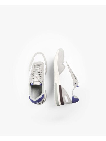 Scalpers Platform trainers ' ' in Blue