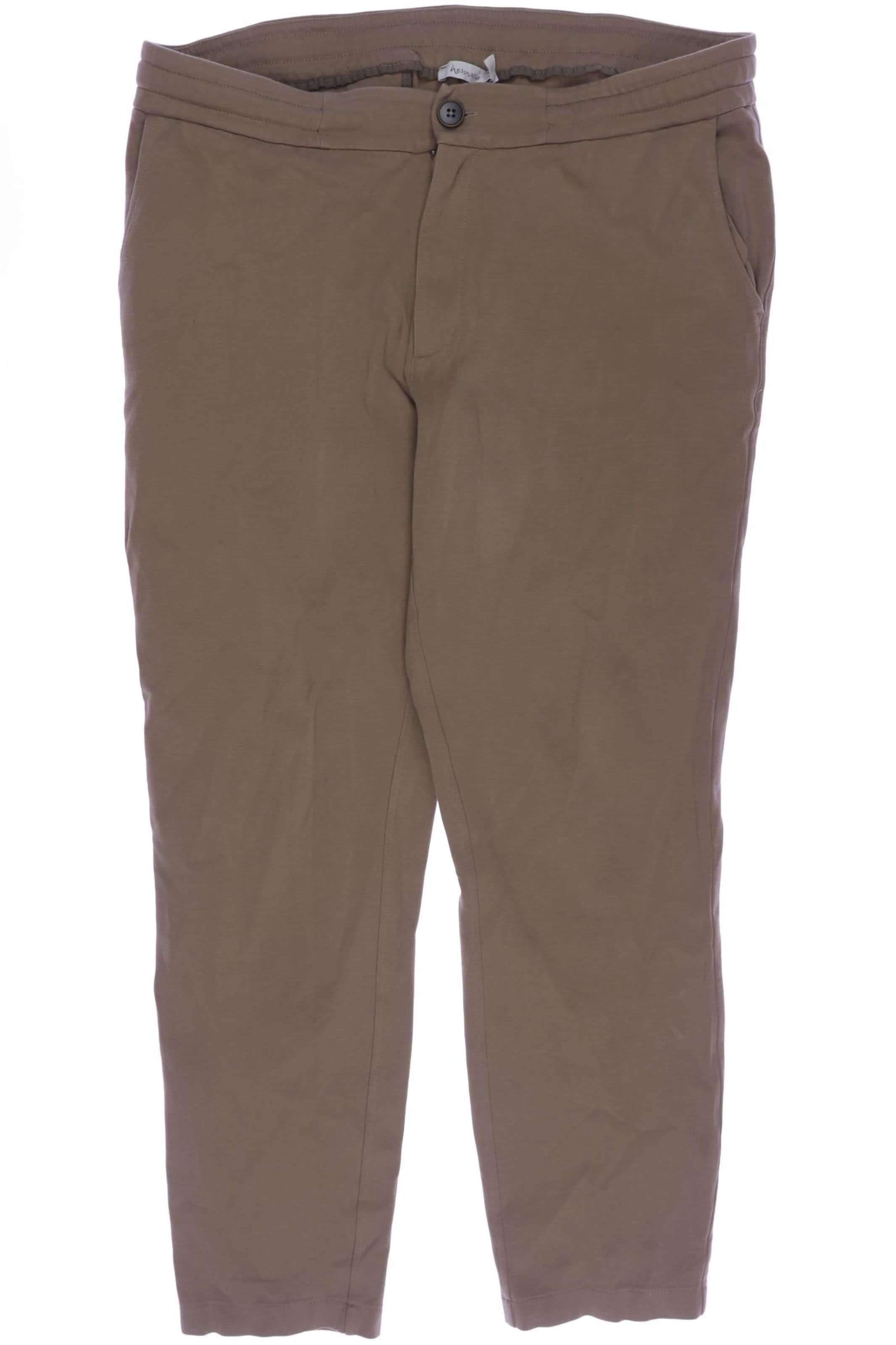 hessnatur Pants in 35-36 in Brown: front