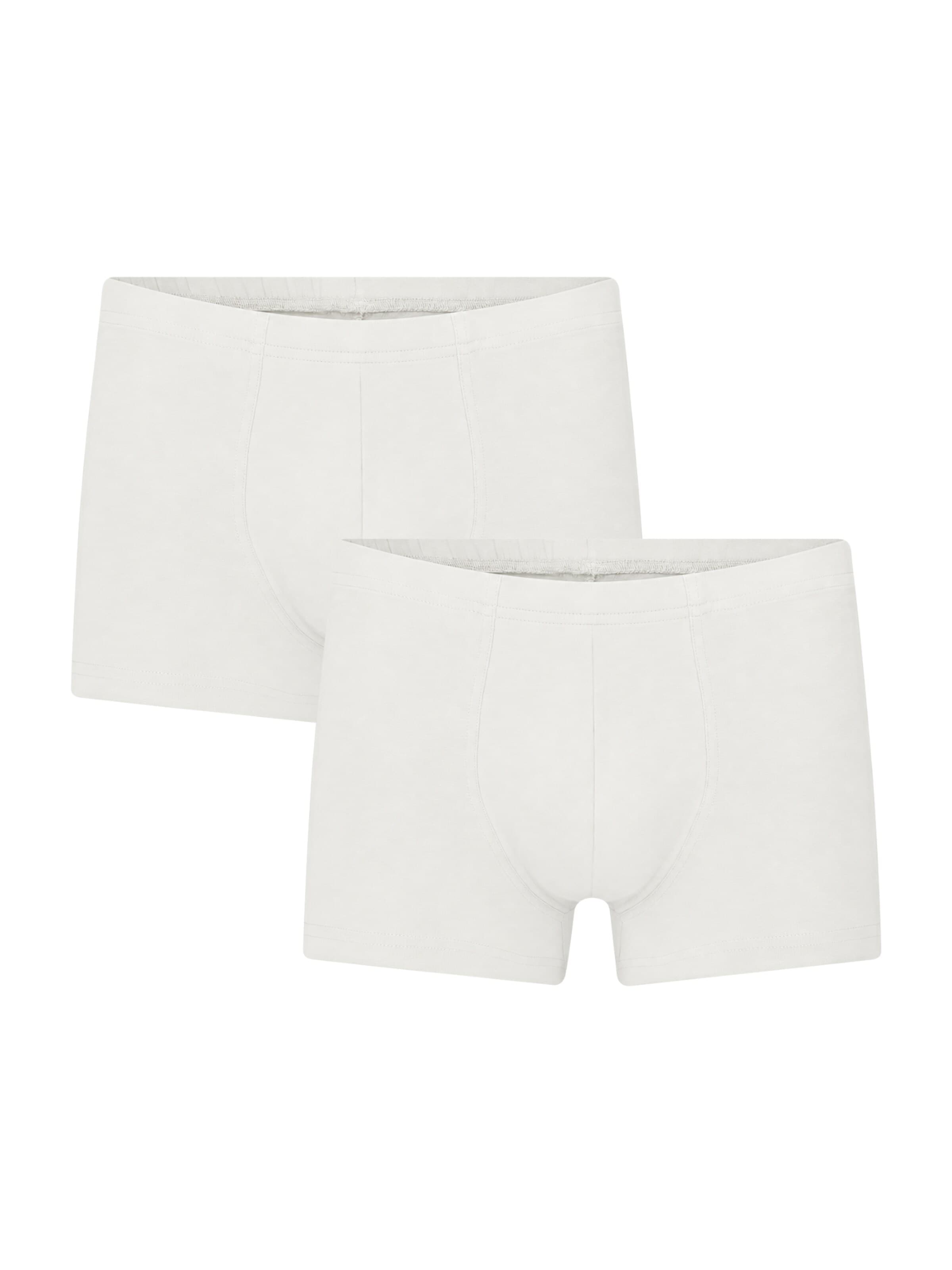 Albero Natur Boxer shorts 'Bio-Baumwoll-Herren Retroshorts -2er Pack' in White: front