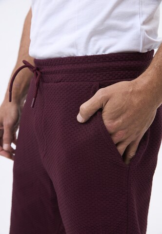 Felix Hardy Regular Broek in Rood