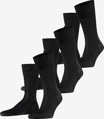 FALKE Socken 'Tiago 3-Pack' in Grau: Vorderseite
