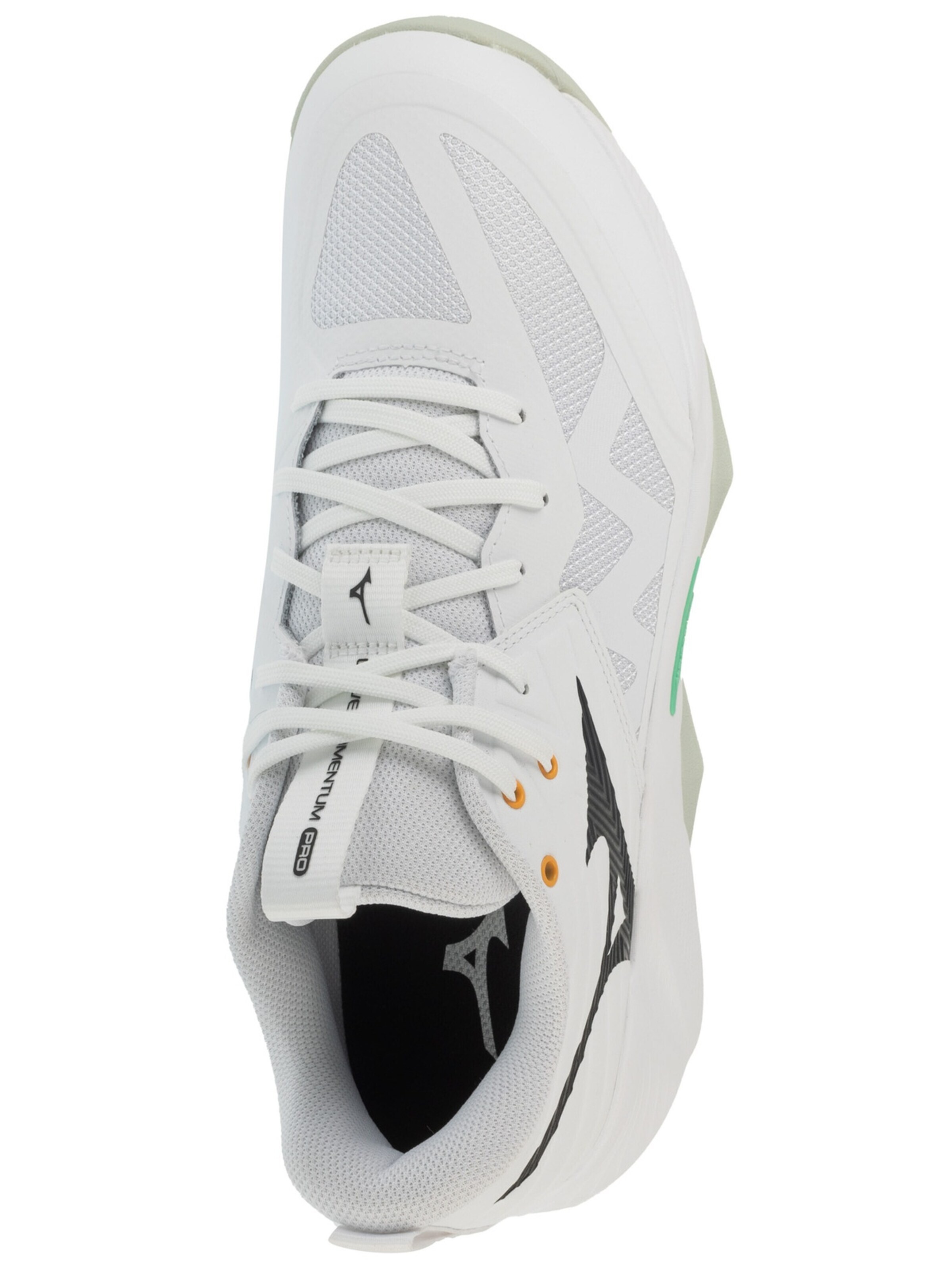 MIZUNO Sportschuh 'Mizuno Wave Momentum Pro'‌‌‌‌‌‌ in Weiß