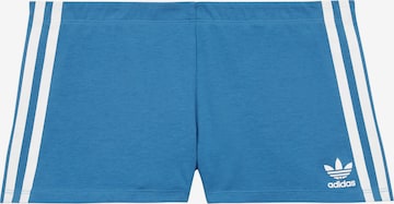 ADIDAS ORIGINALS Broekje ' Biker Short ' in Blauw: voorkant