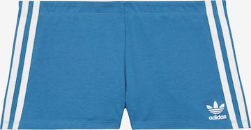 Culotte ' Biker Short ' ADIDAS ORIGINALS en bleu : devant
