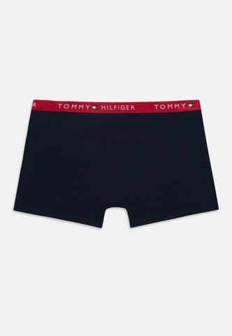 Tommy Hilfiger Underwear Onderbroek in Blauw