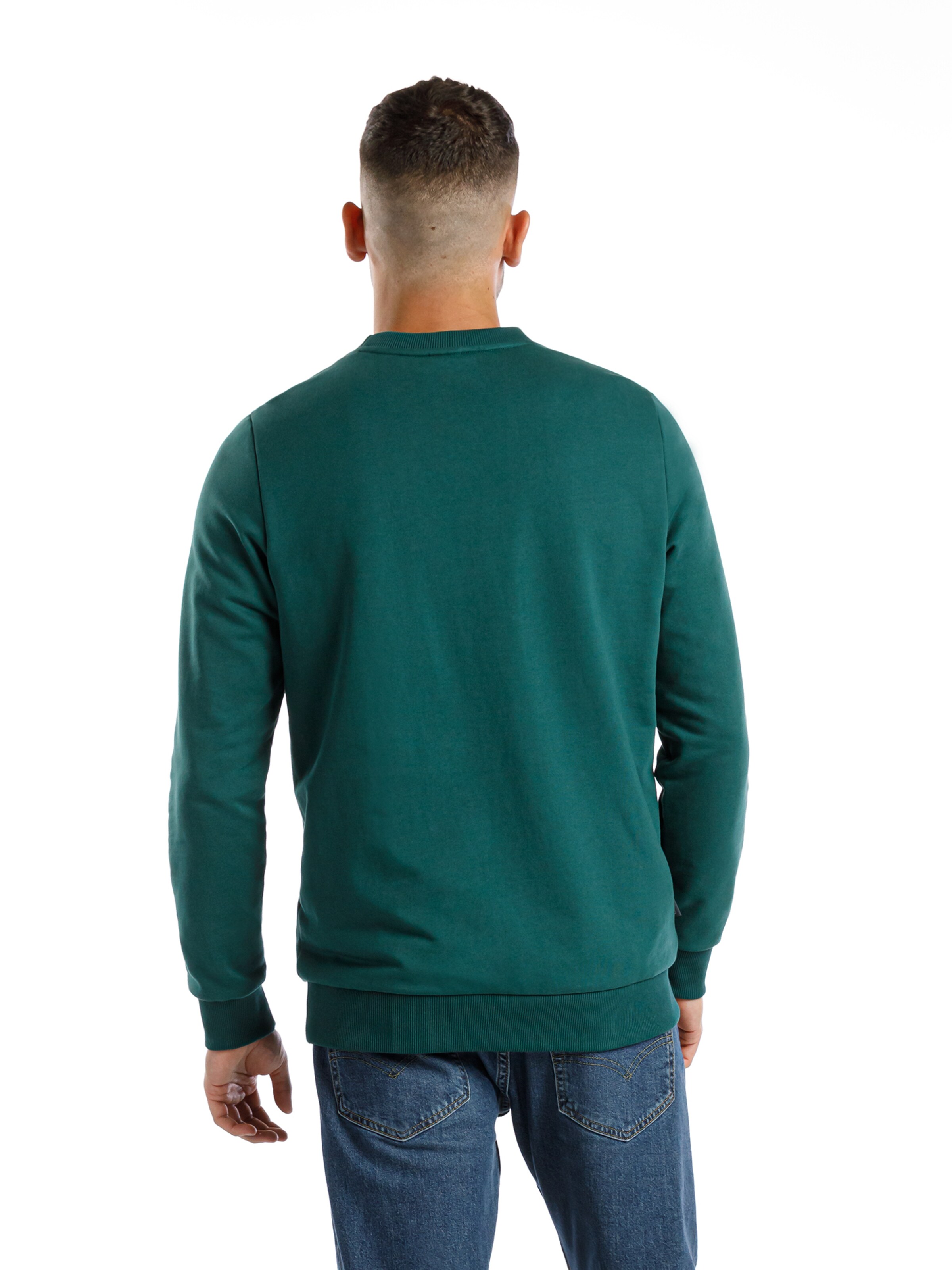 SPITZBUB Pullover 'Florentin' in Grün