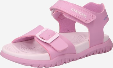 Sandales 'Fusbetto' GEOX en rose : devant