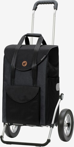 Andersen Shopper Cart 'Royal Senta' in Grey: front