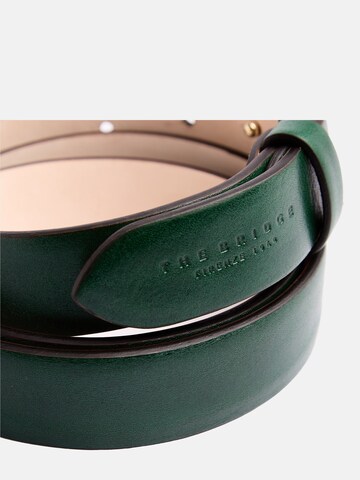The Bridge Belt in Green