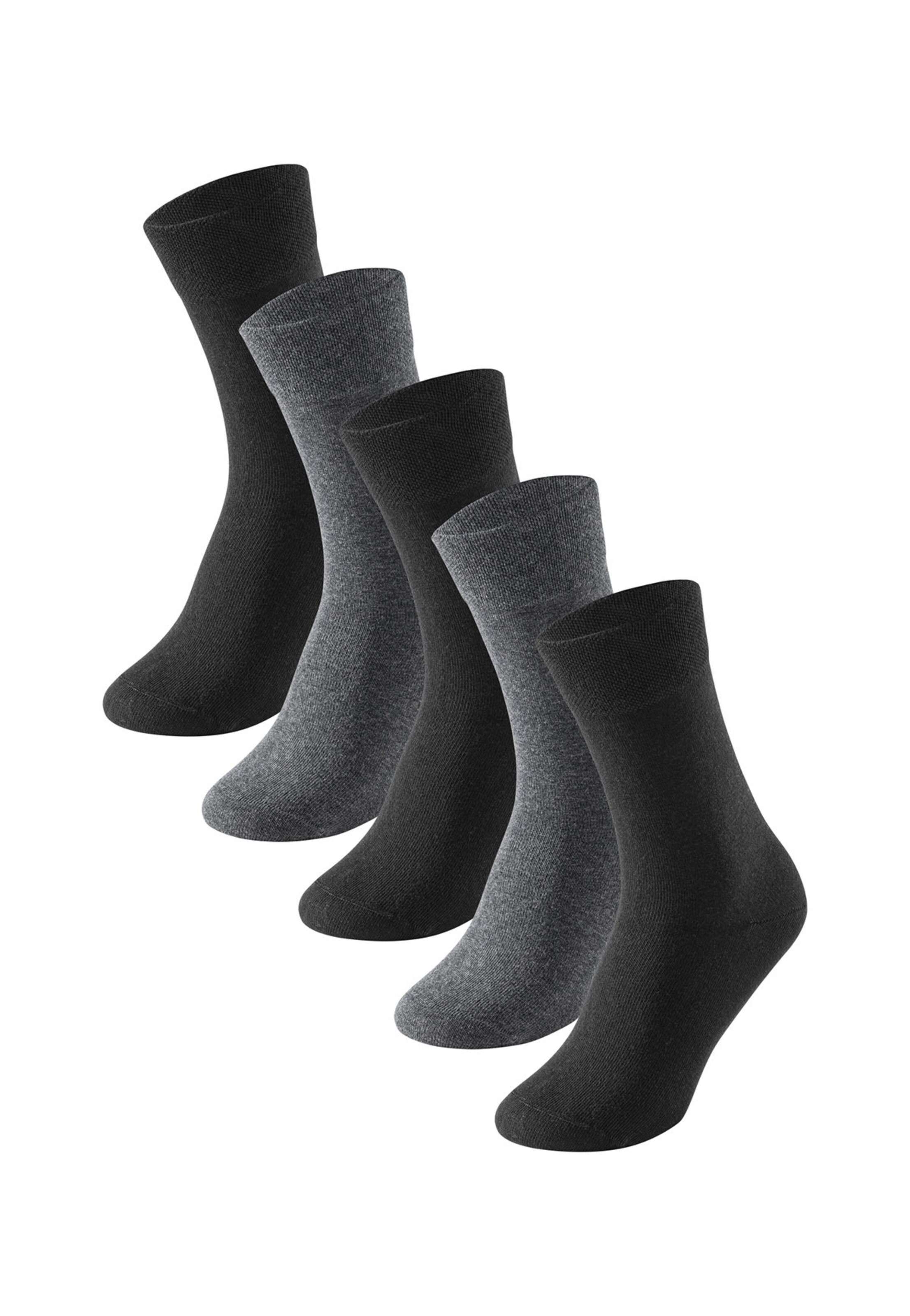 Calcetines hollister sale