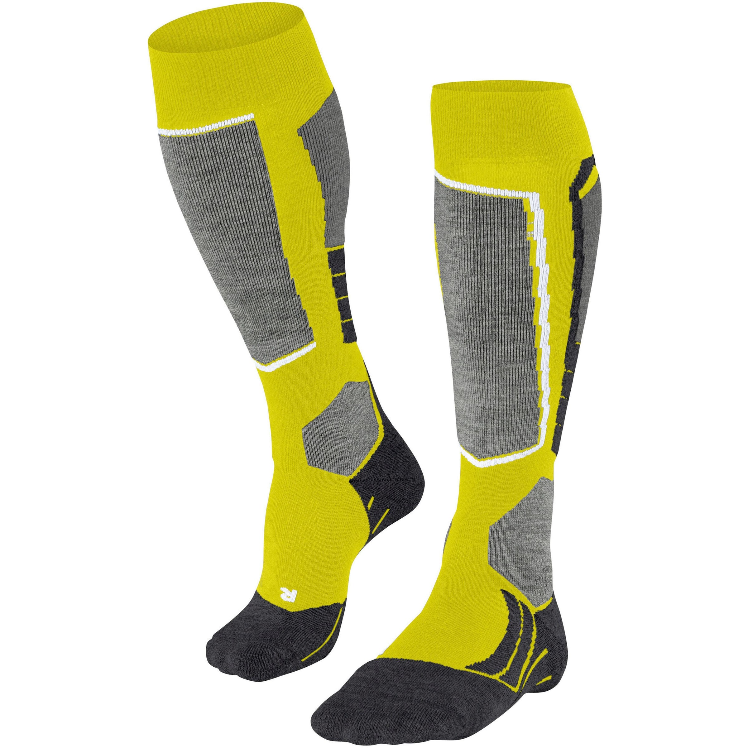 FALKE Skisocken 'SK 2' in Grün: Vorderseite