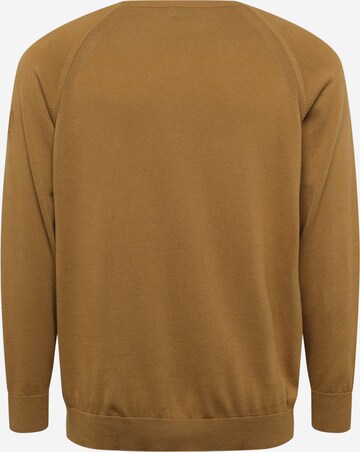 Calvin Klein Big & Tall Pullover in Beige