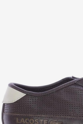 LACOSTE Sneakers & Trainers in 39 in Brown