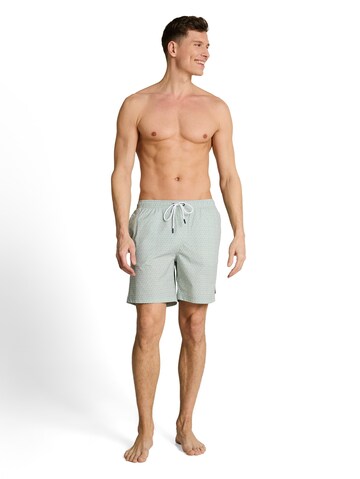 TOM TAILOR DENIM Board Shorts in Green