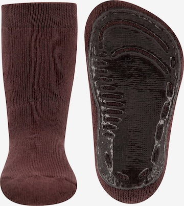 EWERS Socks in Brown: front