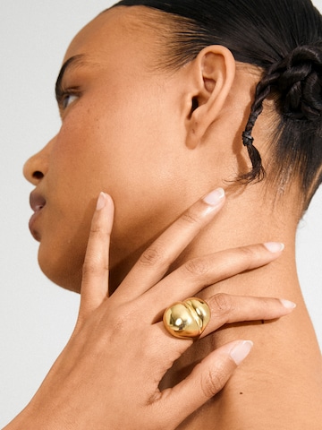 Pilgrim Ring 'MADDIX' i guld