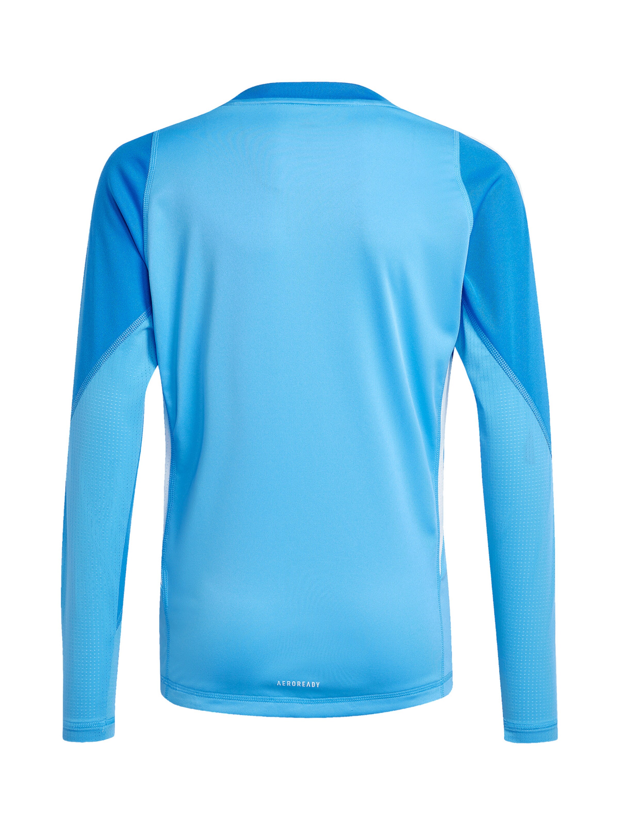 ADIDAS PERFORMANCE Performance shirt in Blue