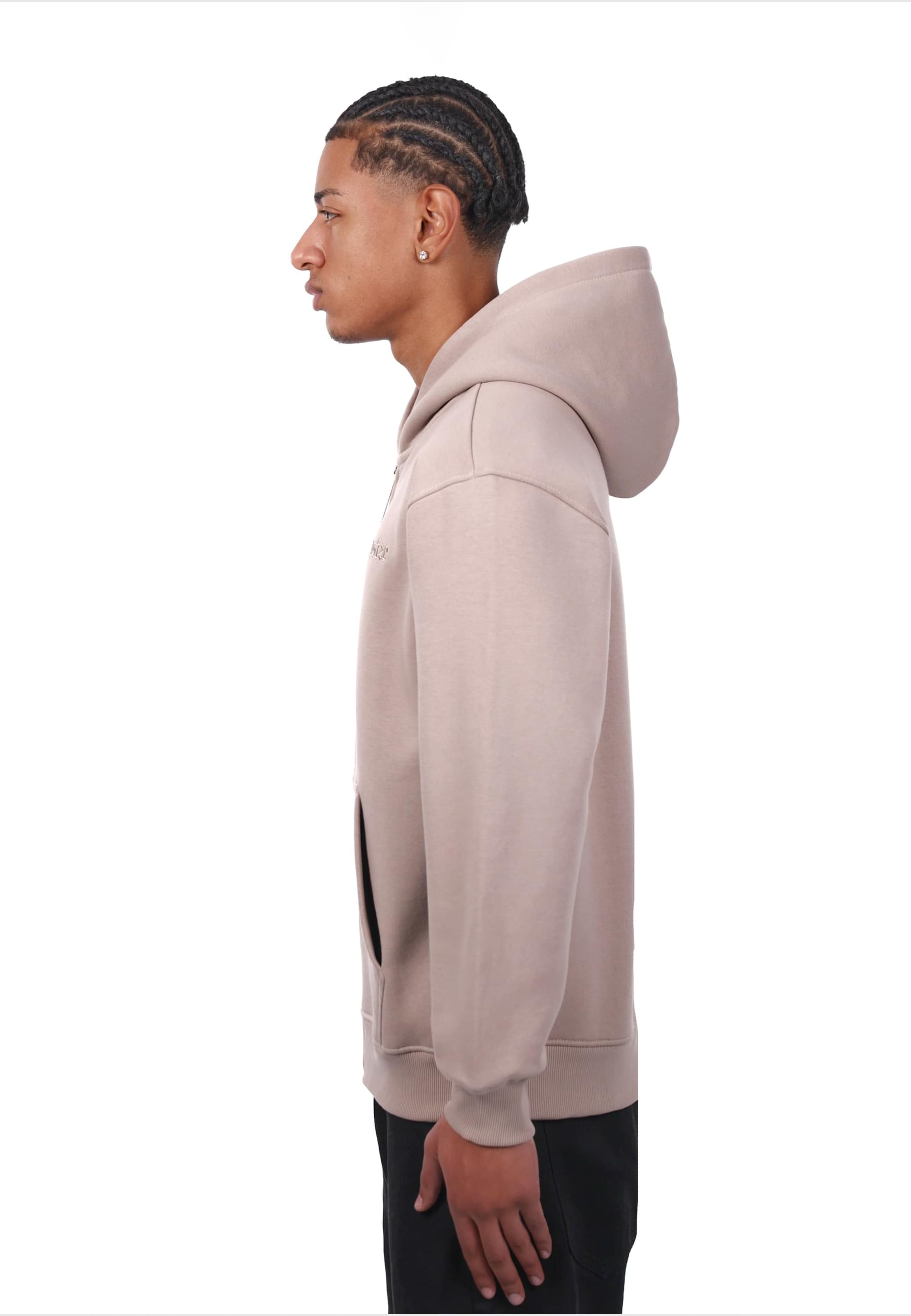 Dropsize Sweatjacke in Grau