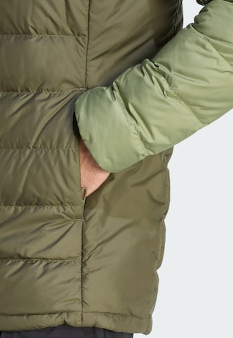 Veste outdoor 'Multi' ADIDAS TERREX en vert