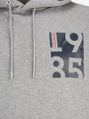 Tommy Hilfiger Big & Tall - Sudadera en gris