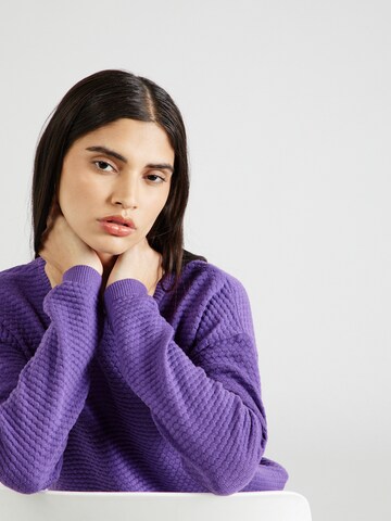 Blutsgeschwister Sweater 'Promenade' in Purple