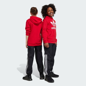 ADIDAS ORIGINALS - Tapered Pantalón 'Adicolor' en negro: frente