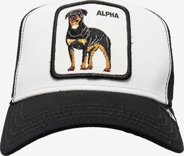 GOORIN Bros. Cap 'Der Alpha-Hund' in Schwarz: predná strana