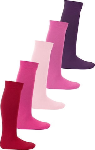 footstar Socks 'EVERYDAY!' in Purple: front