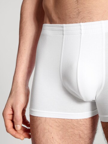 CALIDA Boxer shorts 'Focus' in White
