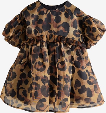 Next Mekko värissä ruskea: etupuoli