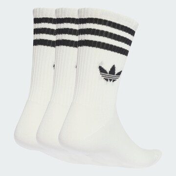 Chaussettes ADIDAS ORIGINALS en blanc