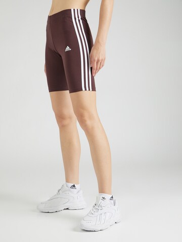 Coupe slim Pantalon de sport 'Essentials' ADIDAS SPORTSWEAR en rouge : devant