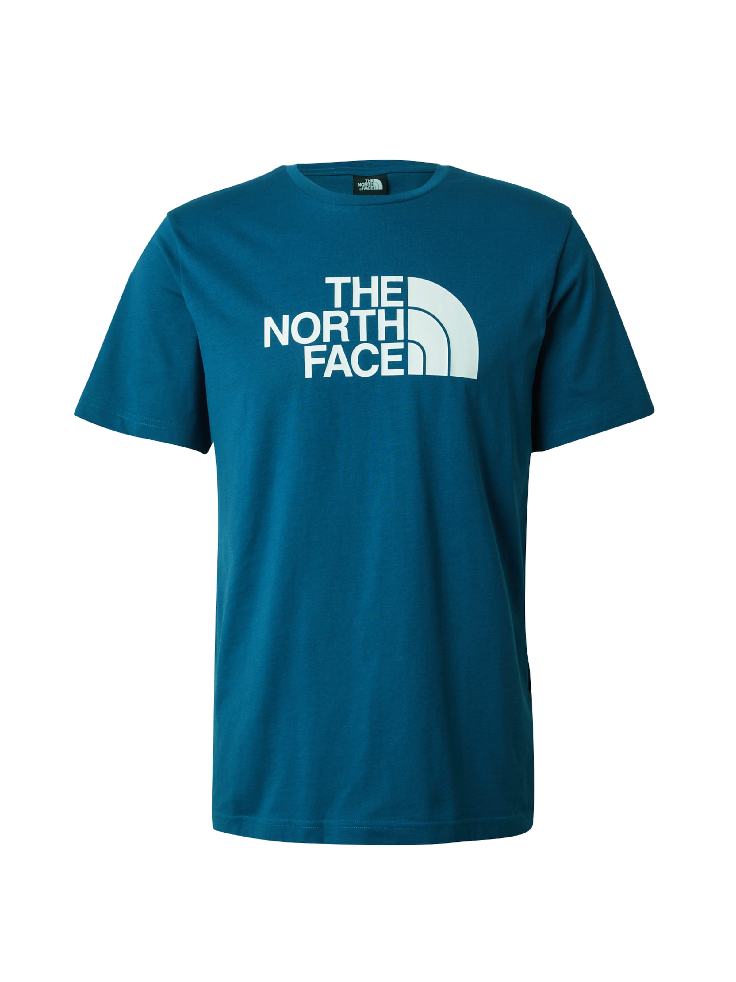 THE NORTH FACE Μπλουζάκι &#x27;EASY&#x27; σε μπλε: μπροστά