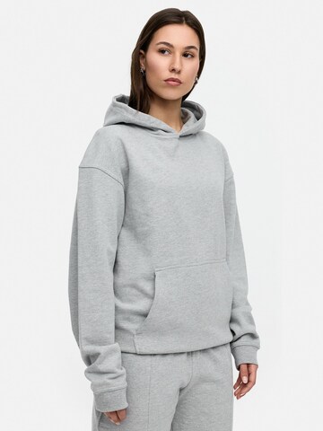 Daily Cotton Sweatshirt 'DCTERUEL' in Grey