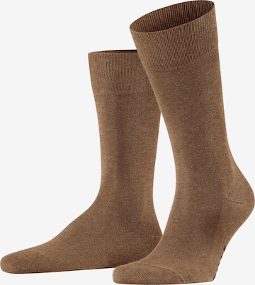 FALKE Socks 'Family' in Brown: front