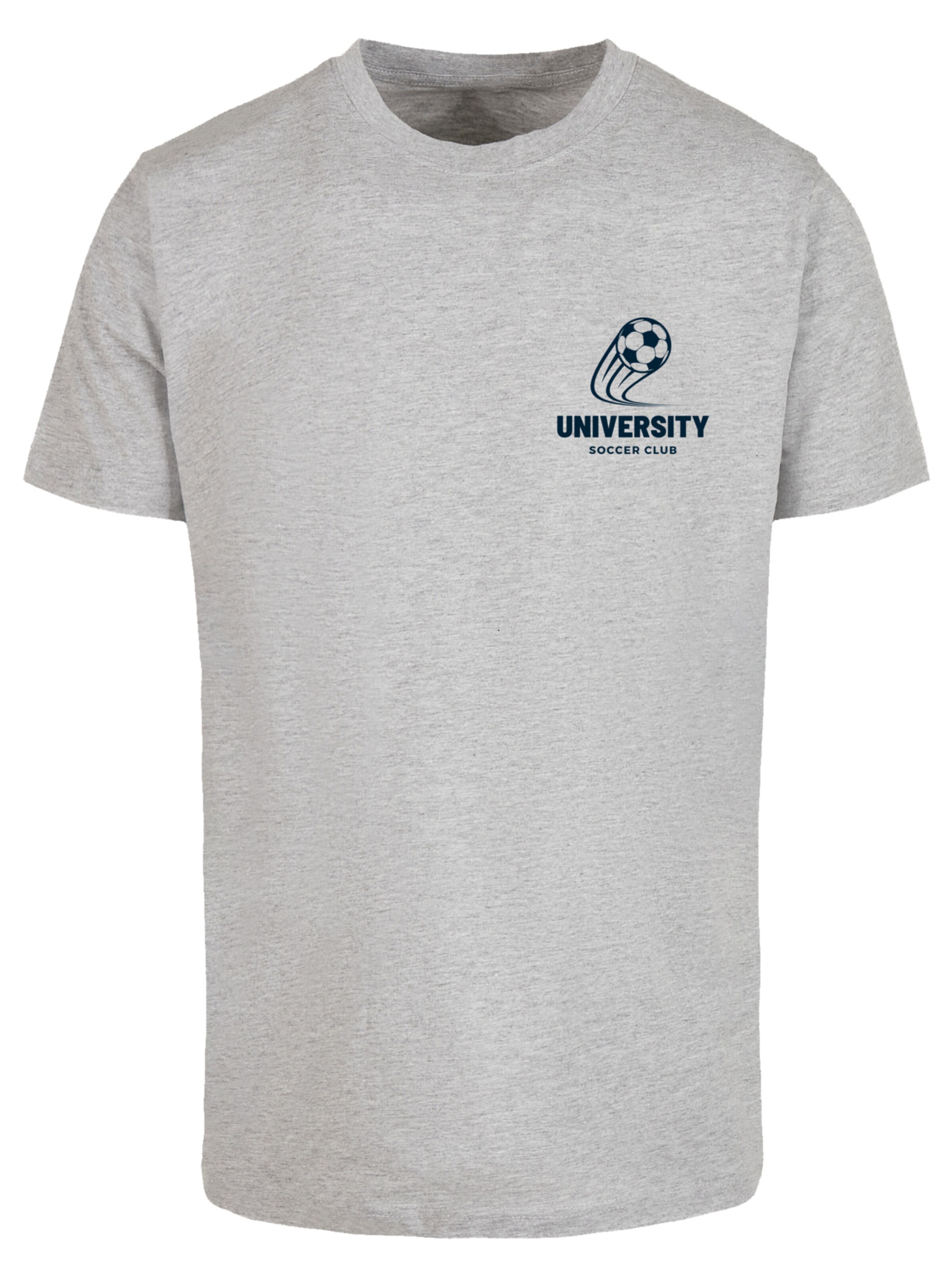 T-Shirt F4NT4STIC en gris : devant